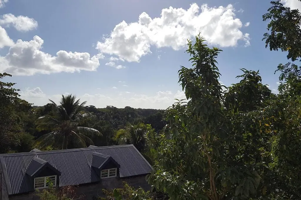Le Bien-Etre Tropical, Entre Nature Et Plages Sainte-Anne  Guadeloupe