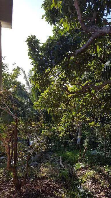 Le Bien-Etre Tropical, Entre Nature Et Plages Sainte-Anne  Sainte-Anne (Grande-Terre)