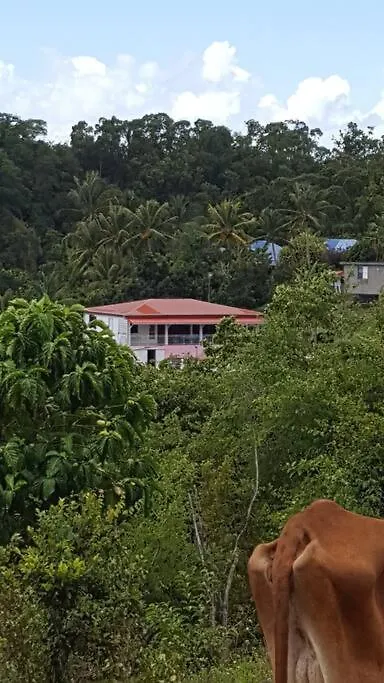 Holiday home Le Bien-Etre Tropical, Entre Nature Et Plages Sainte-Anne
