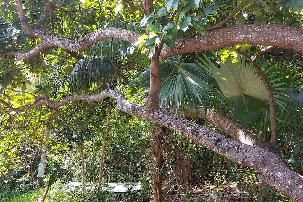 Holiday home Le Bien-Etre Tropical, Entre Nature Et Plages Sainte-Anne